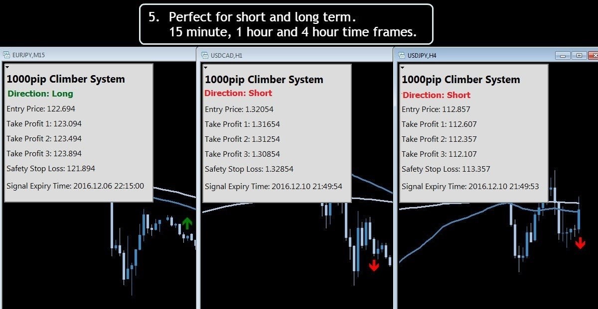 1000 Pip Climber Expert Advisor – MT4 – Beginners & Professionals