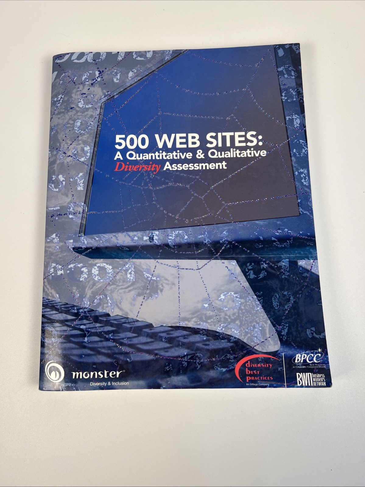 500 Web Sites: A Quantitative & Qualitive Diversity Assessment Textbook-2006