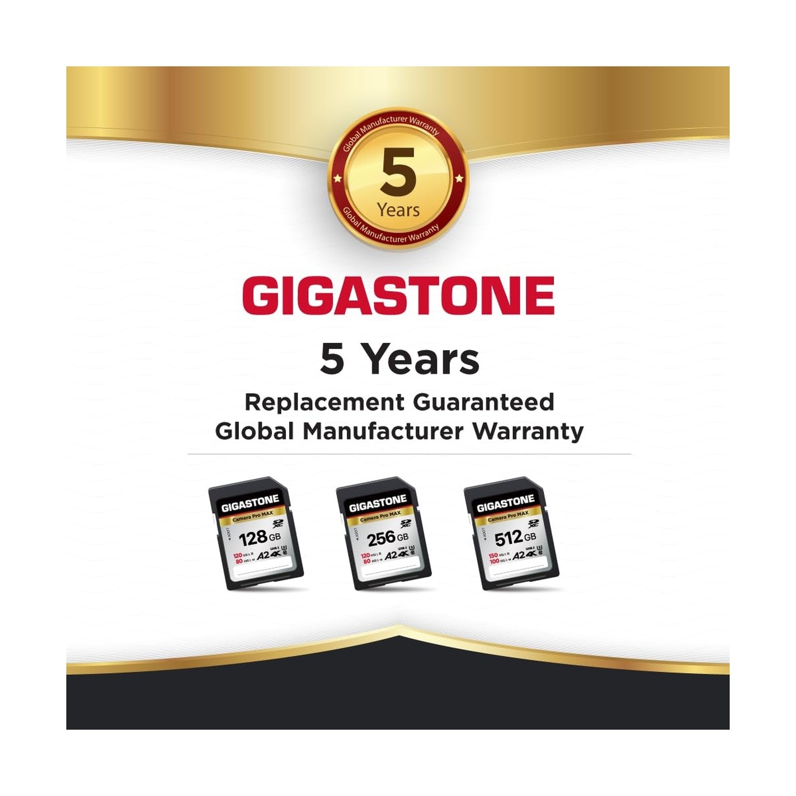 [5-Yrs Free Data Recovery] GIGASTONE 256GB 2-Pack SD Card, 4K Camera Pro MAX,…