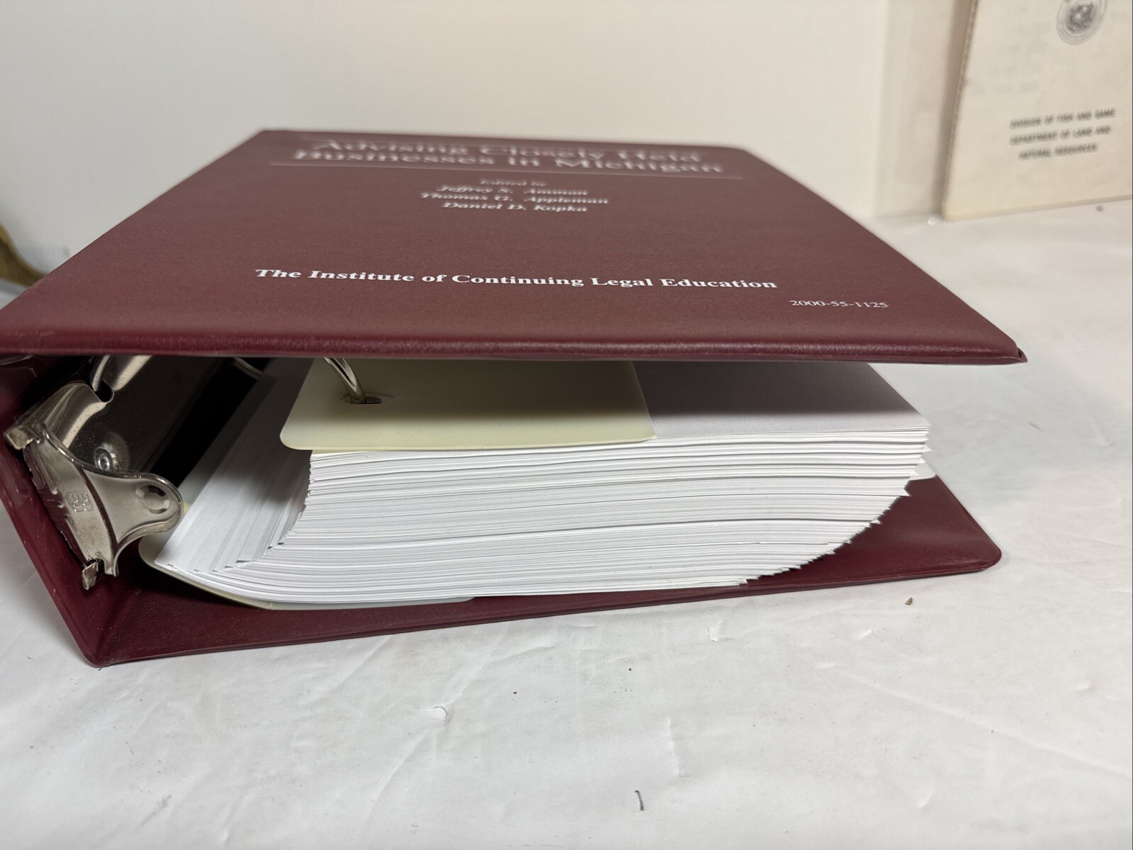 Advising Closely Held Business in Michigan Binder 2006 with Disc