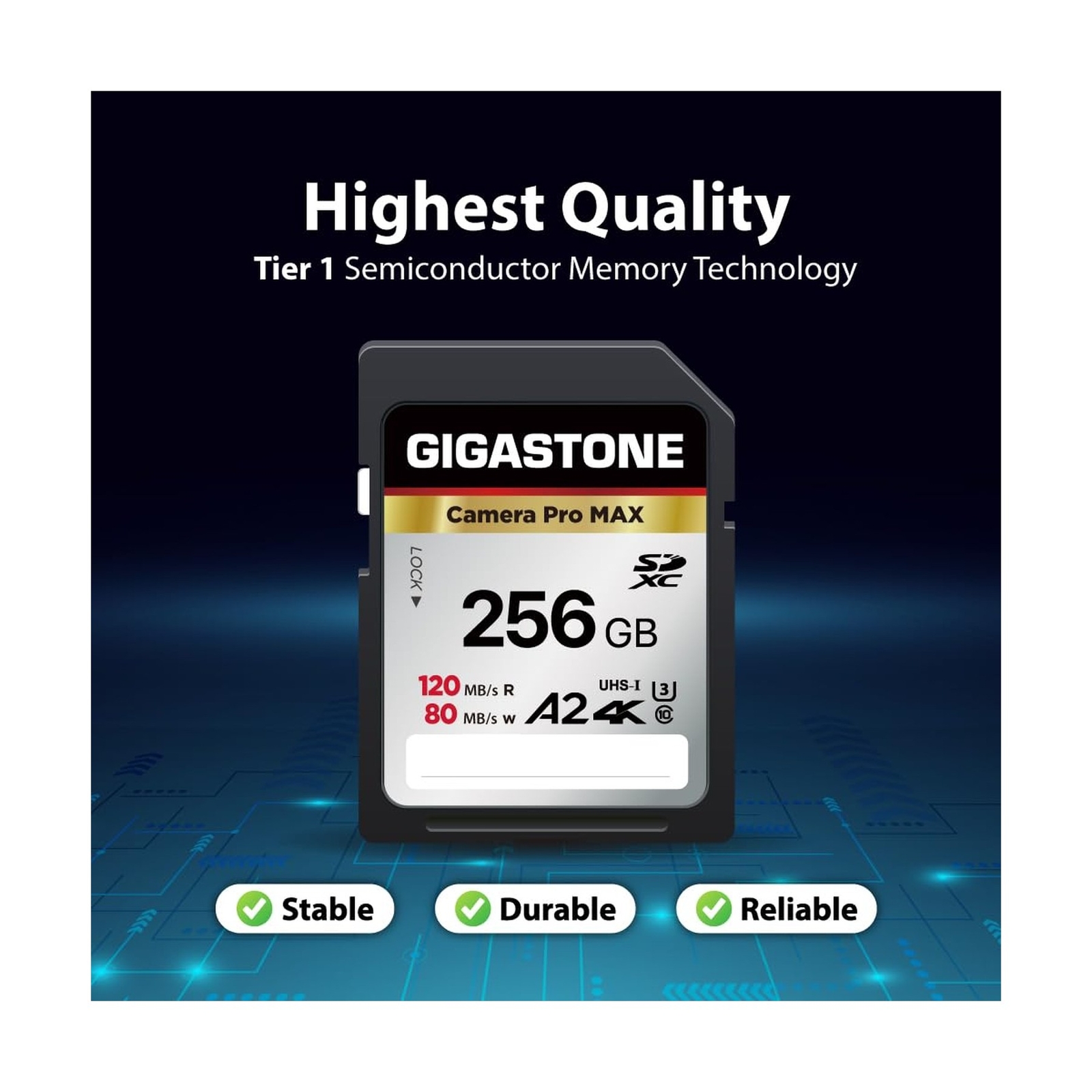 [5-Yrs Free Data Recovery] GIGASTONE 256GB 2-Pack SD Card, 4K Camera Pro MAX,…
