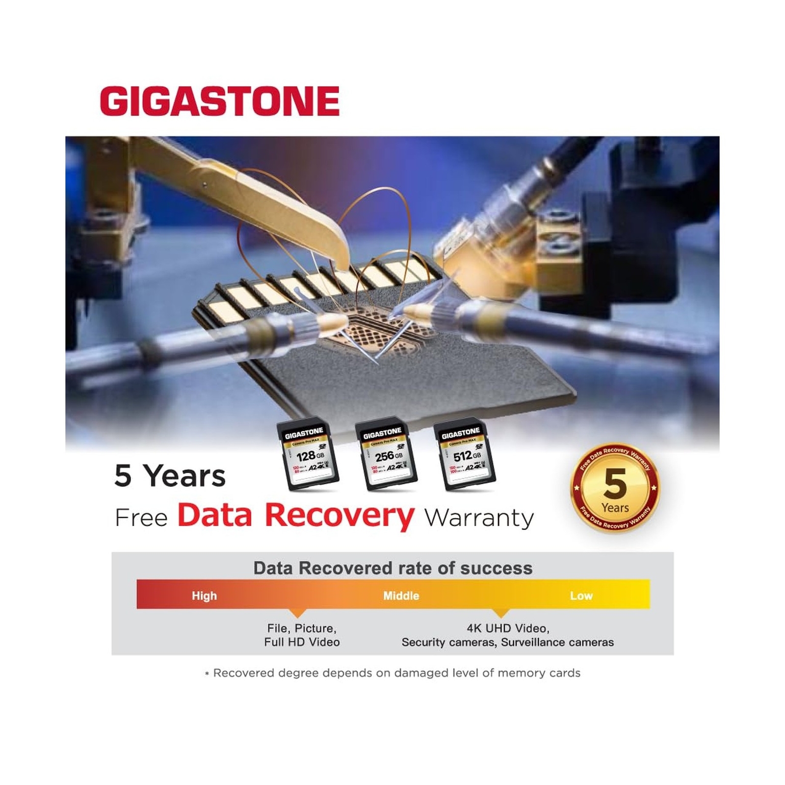 [5-Yrs Free Data Recovery] GIGASTONE 256GB 2-Pack SD Card, 4K Camera Pro MAX,…
