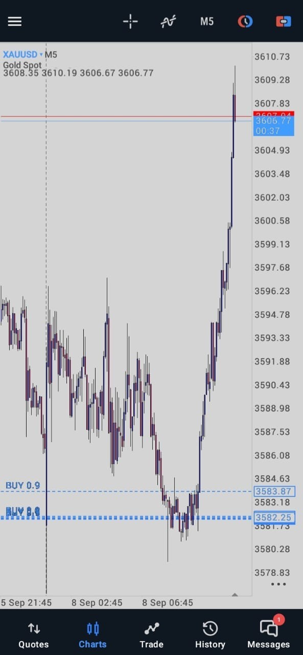forex trading system ( TradingView )