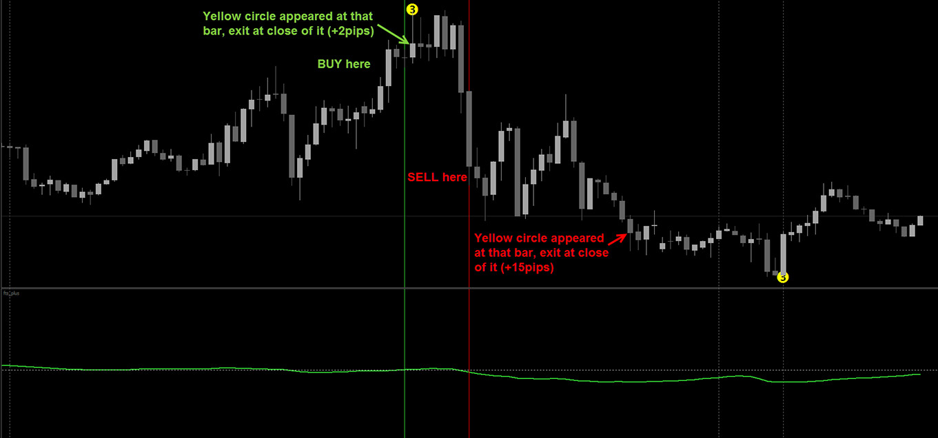 Forex Trading System Plus