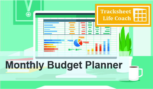 Monthly Budget Planner Worksheet (Excel) w/Instructions (DIGITAL)