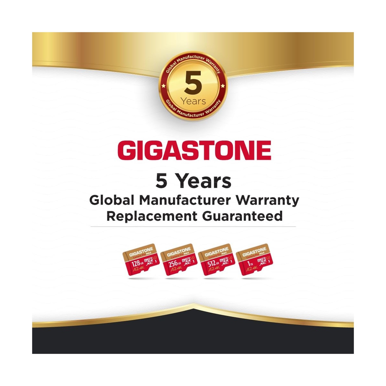 [5-Yrs Free Data Recovery] GIGASTONE 1TB Micro SD Card, 4K Camera Pro MAX, 4K…