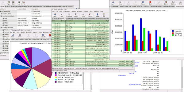 Personal Finance Software 2025 Windows/MacOS Manage Money Budget Reports USB/DVD