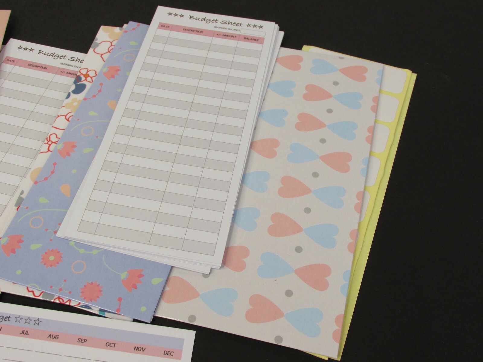 Nuiin Budget Sheets and Personal Finance