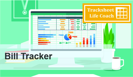 Bill Tracker – Monthly Tracker Worksheet (Excel) w/Instructions (DIGITAL ITEM)